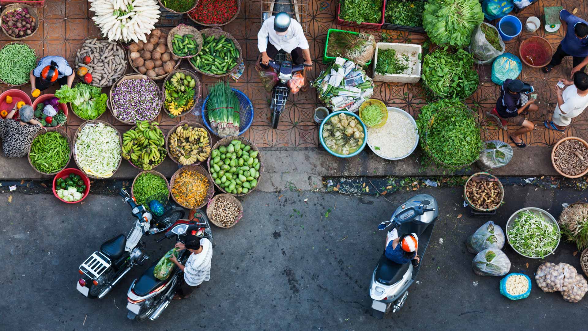 
            Climate change statement