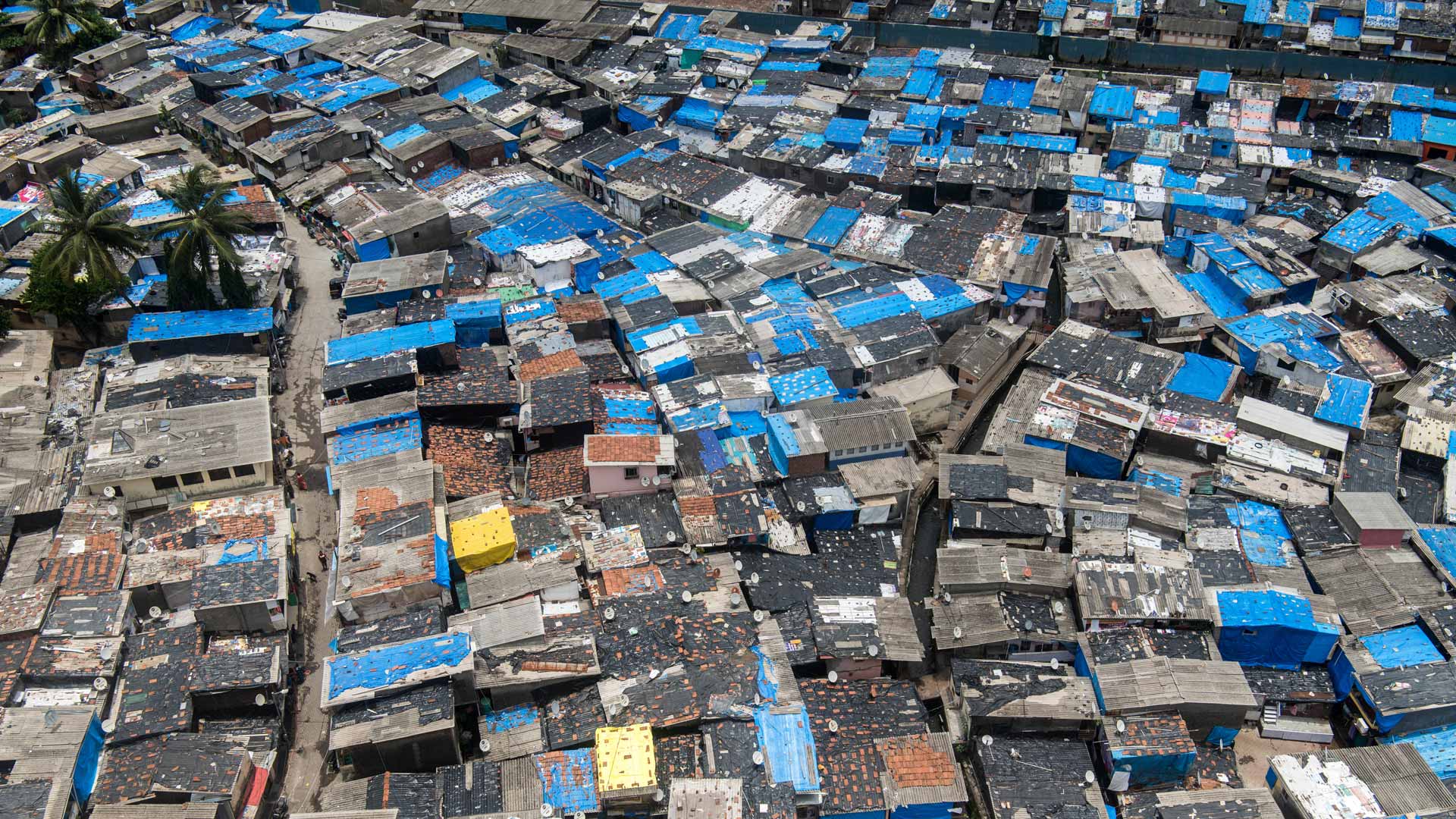 Company contributions to sustainable human development