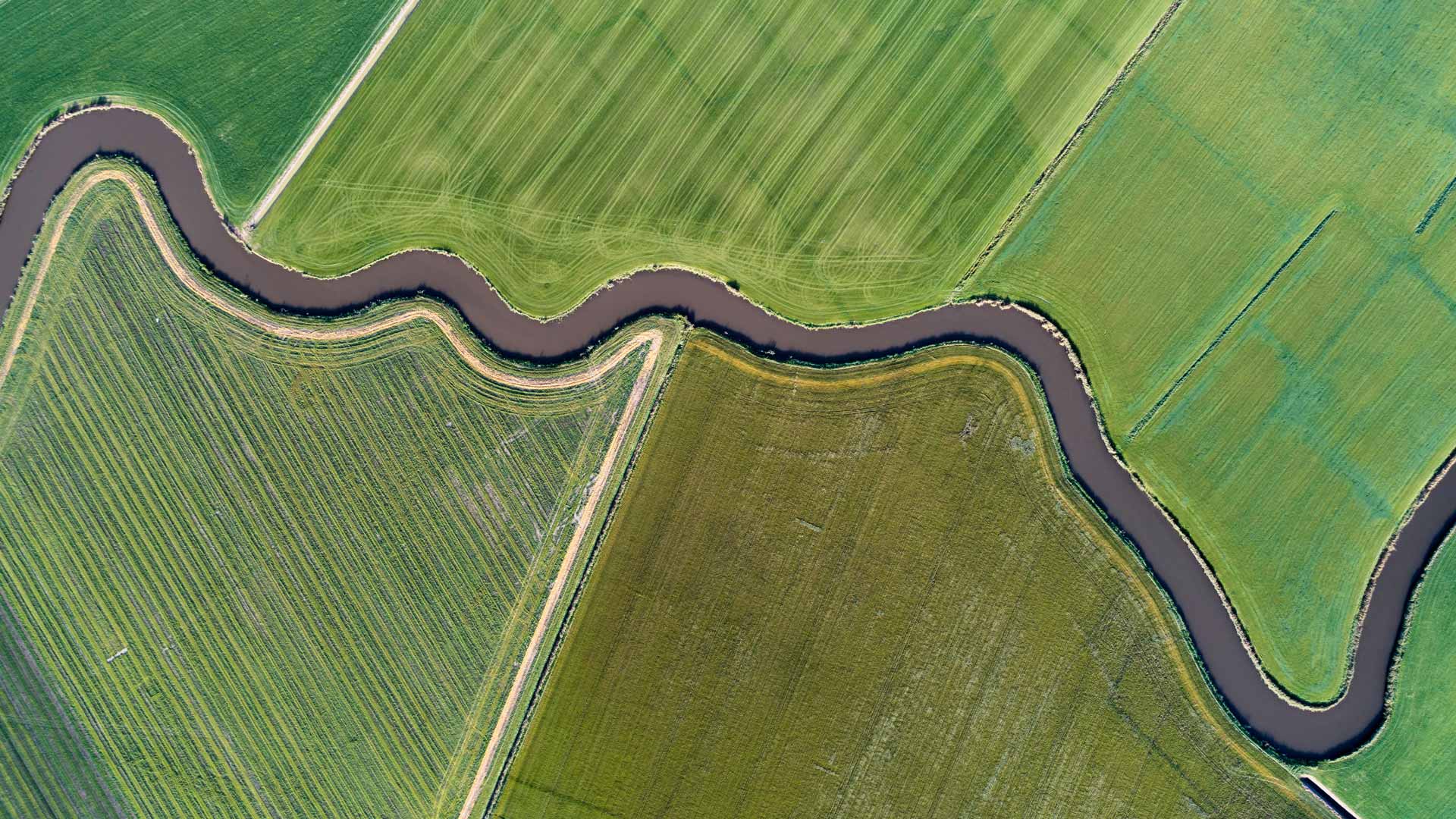 Exploring outside the lines