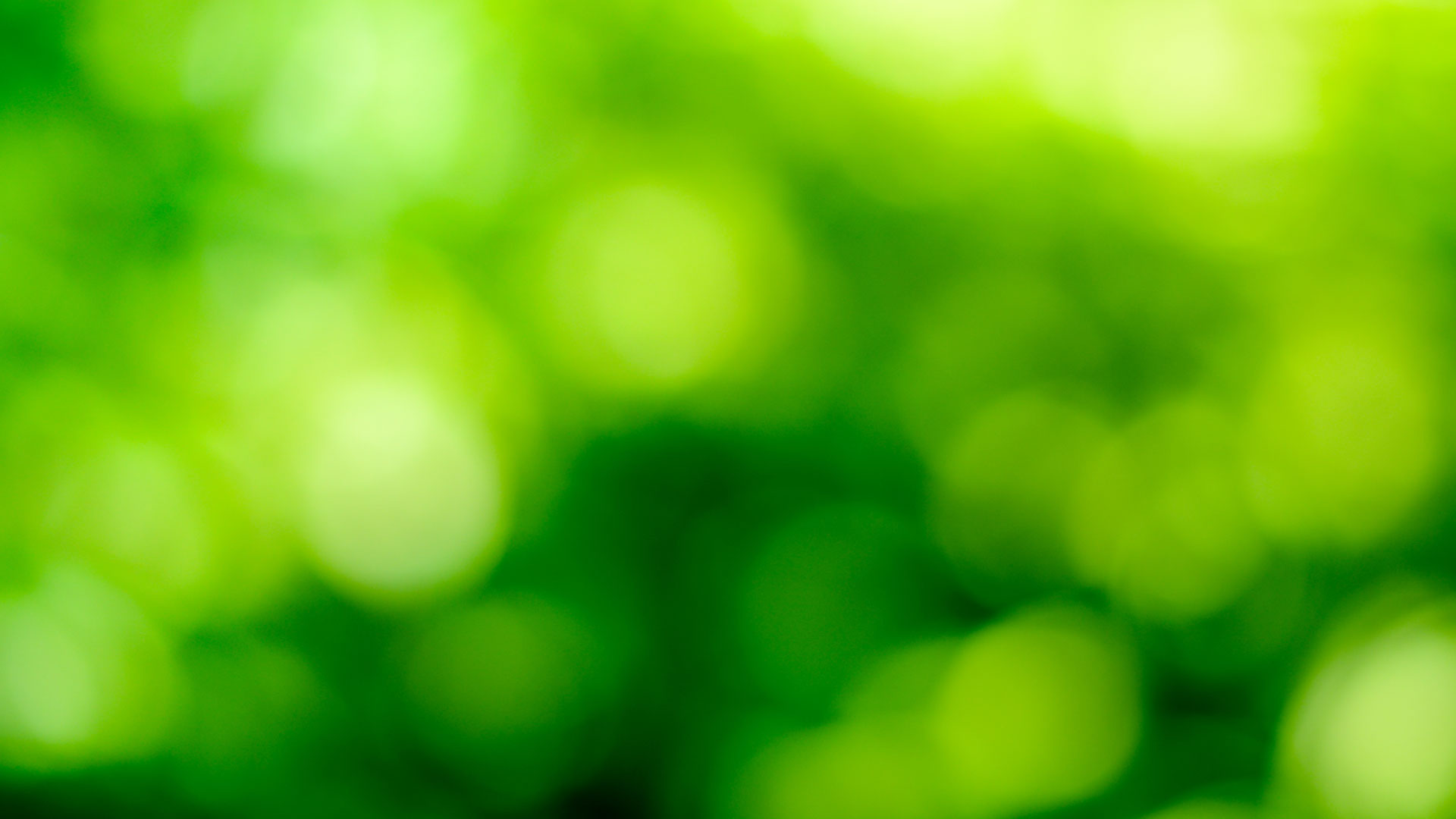 Towards Sustainability Quality Standard label