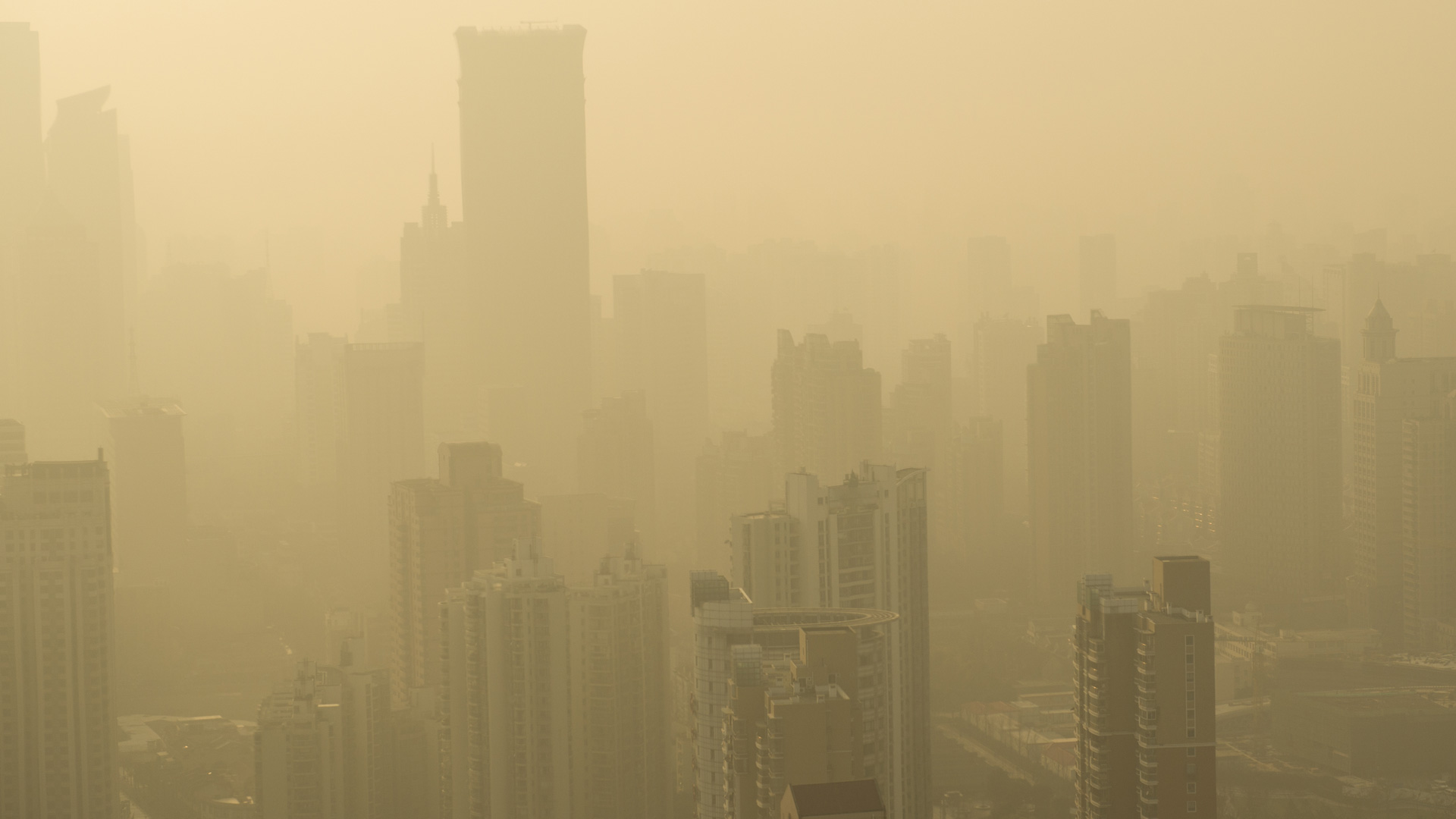 i3 interview: Sustainability myths in emerging markets