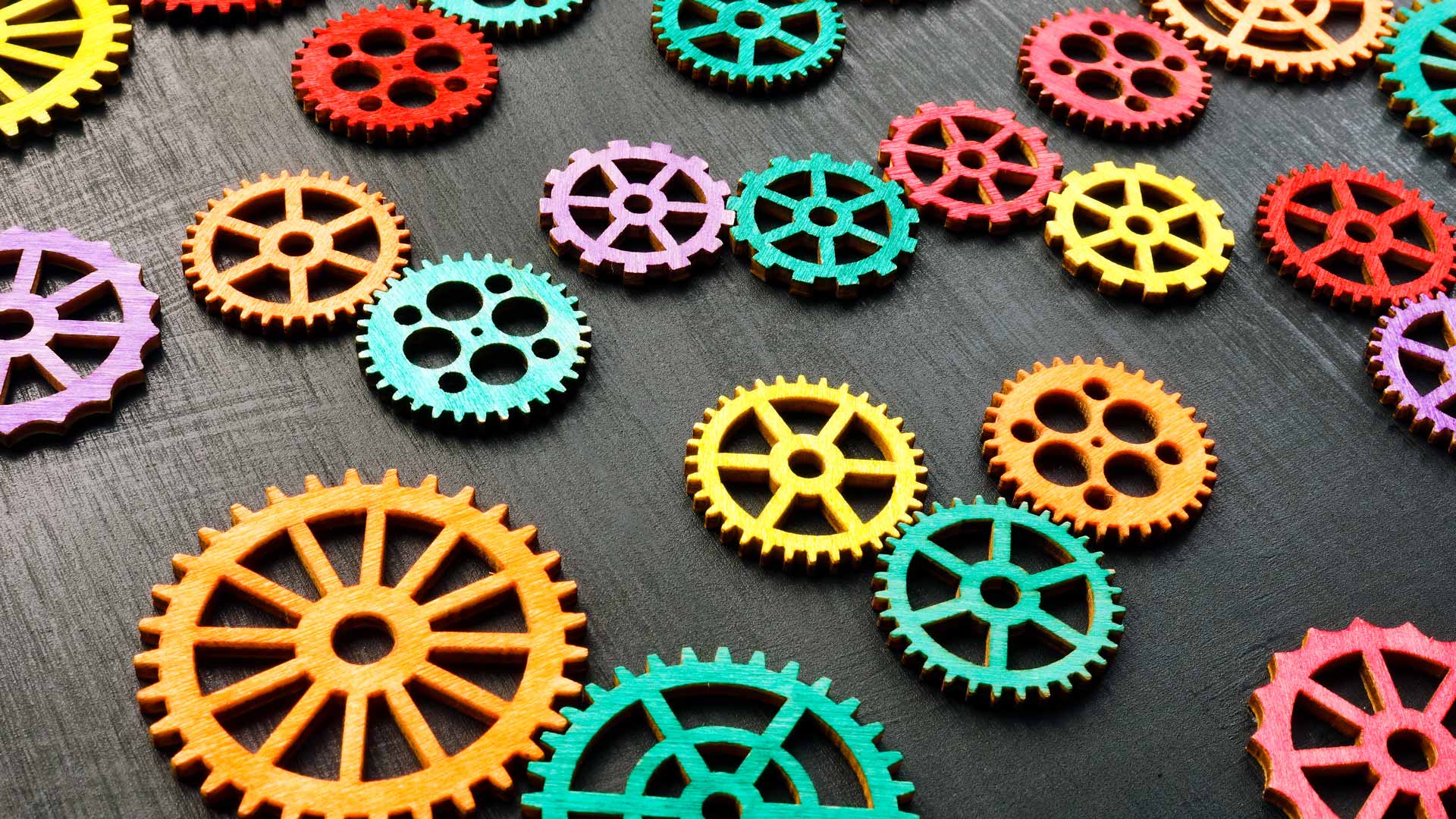 The importance of diversity