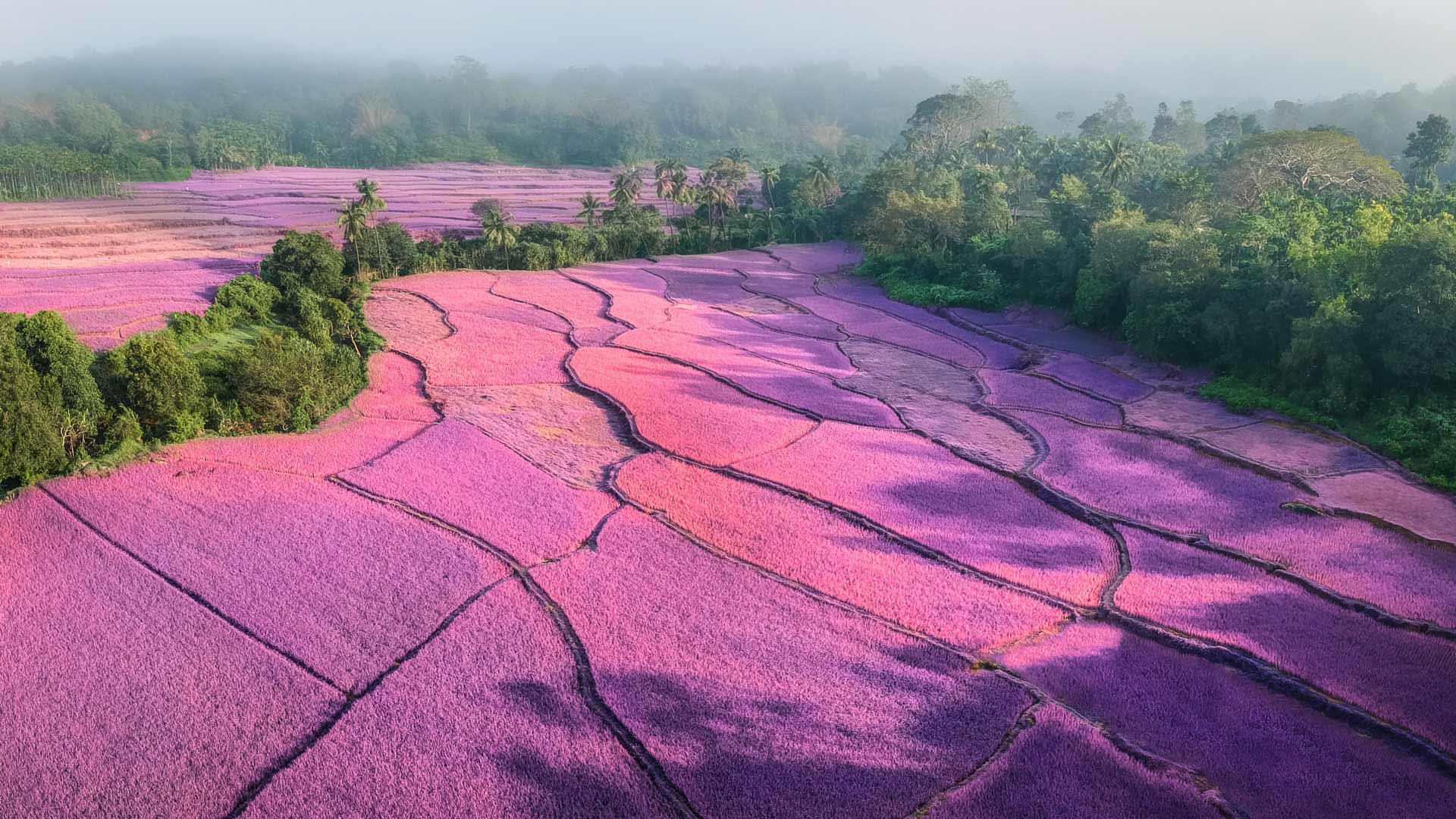 Investing in Emerging Markets