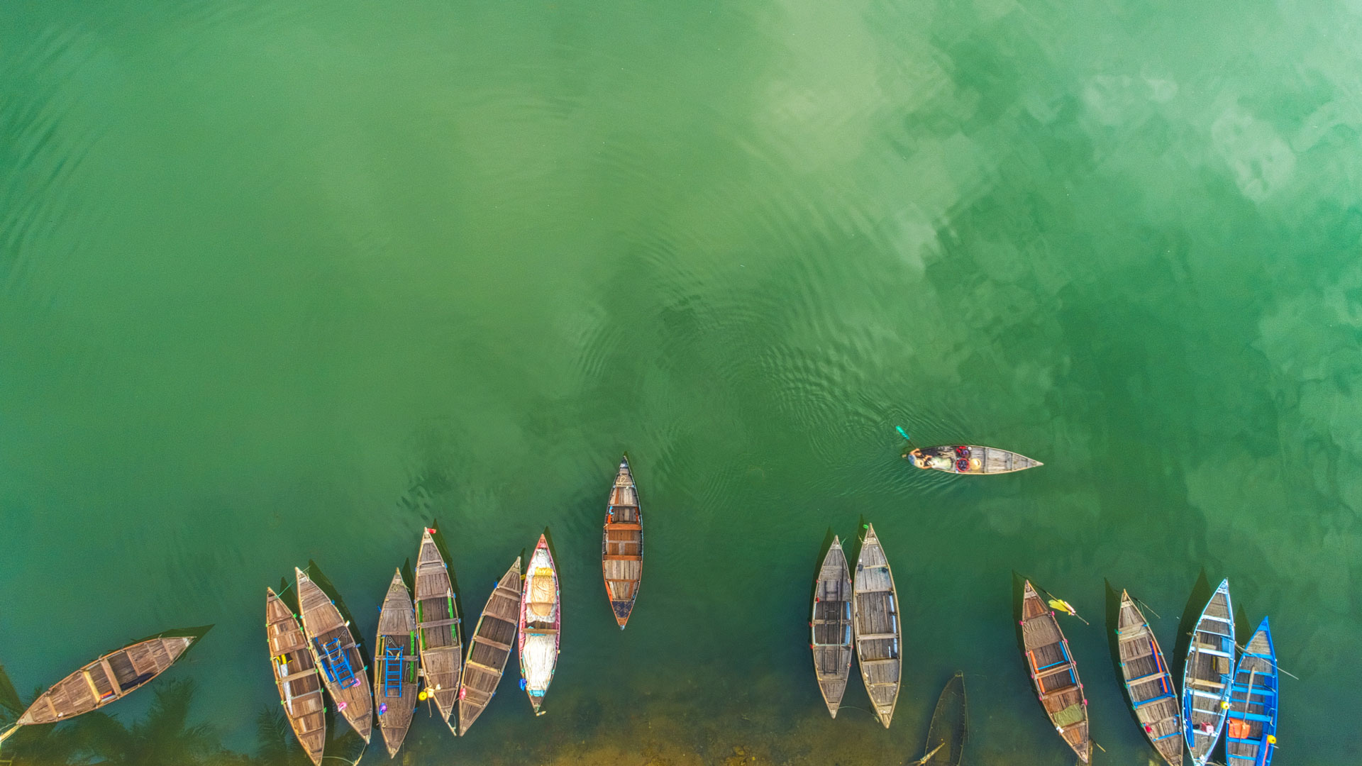 Fund Manager of the Year – Sustainable Investing, Morningstar Australia