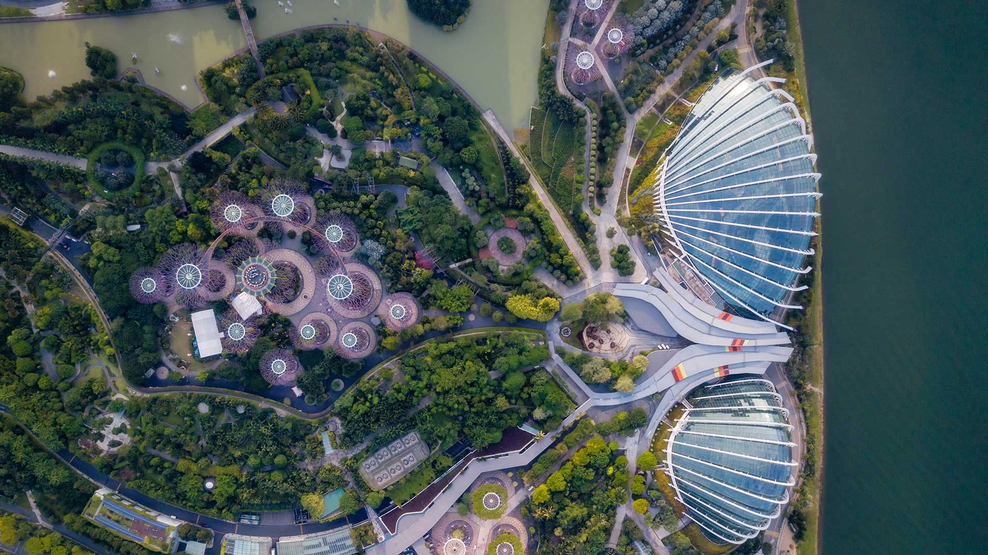 News from the quarter