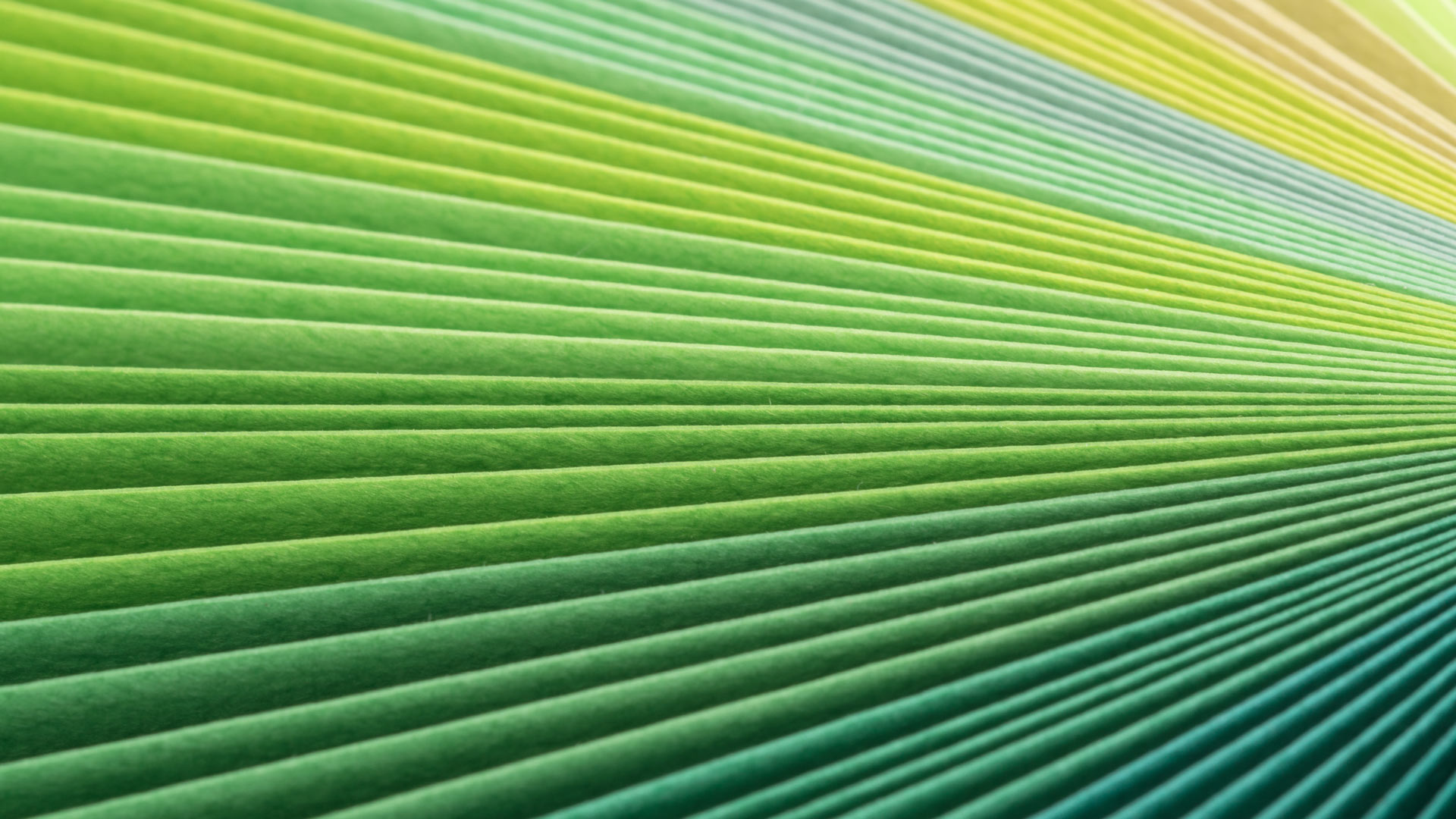 P&I Interview: ESG Investing