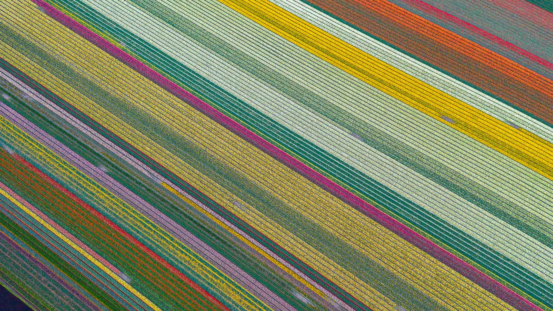 Podcast: Sustainability and quality in investments