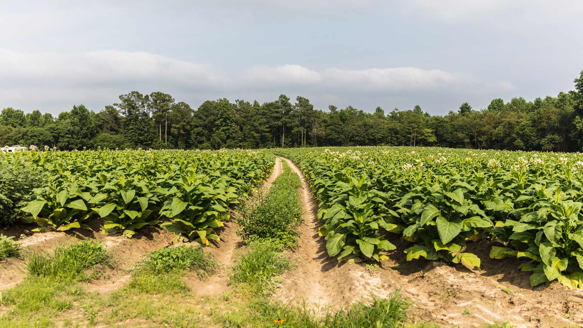 Our position on harmful and controversial products, services or practices