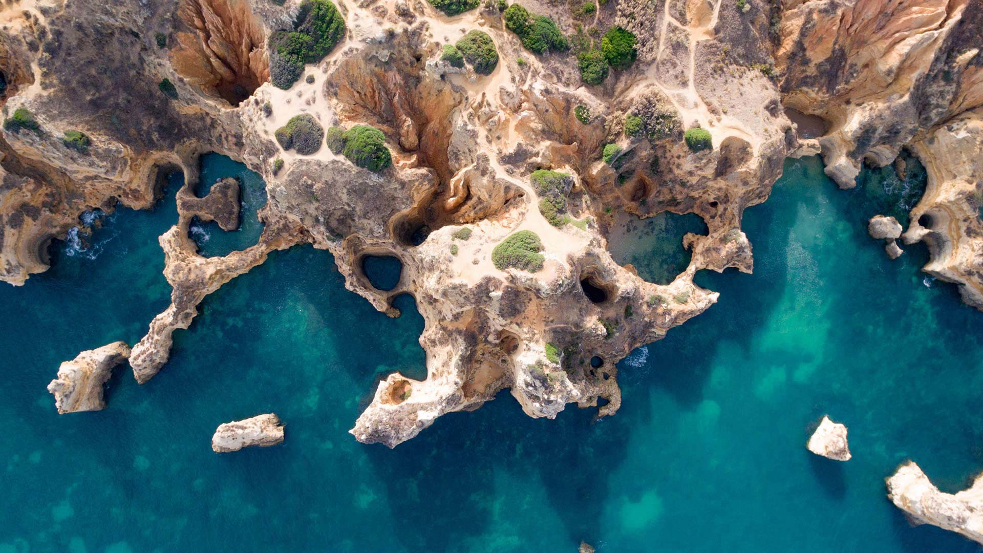 Press Article: Australian Financial Review