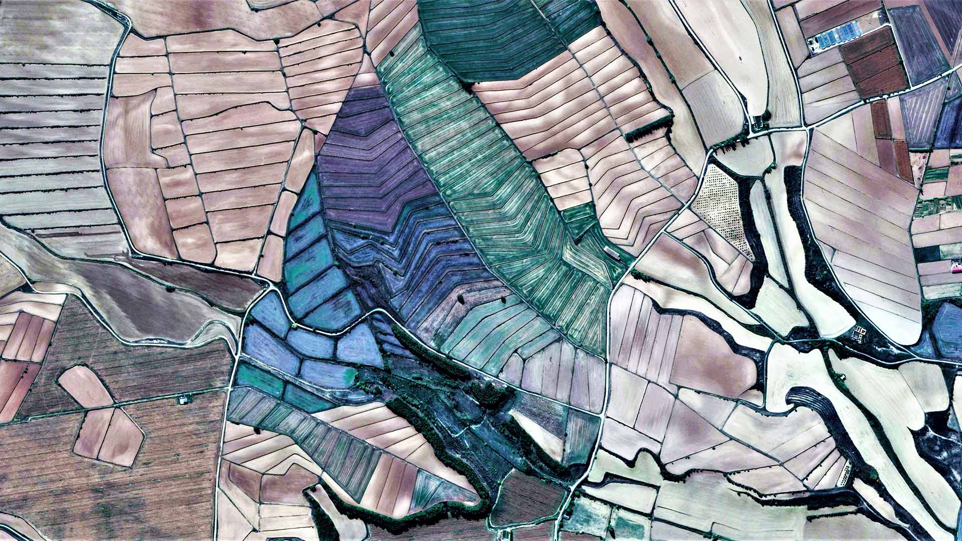 Documents and Factsheets