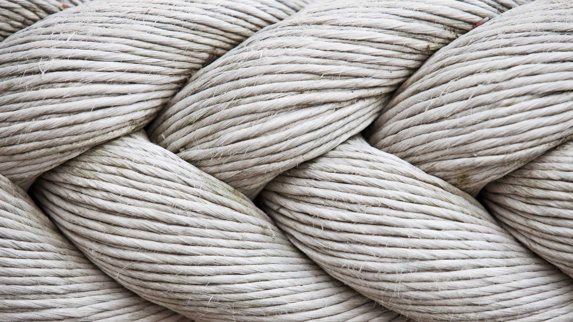 Our Hippocratic Oath