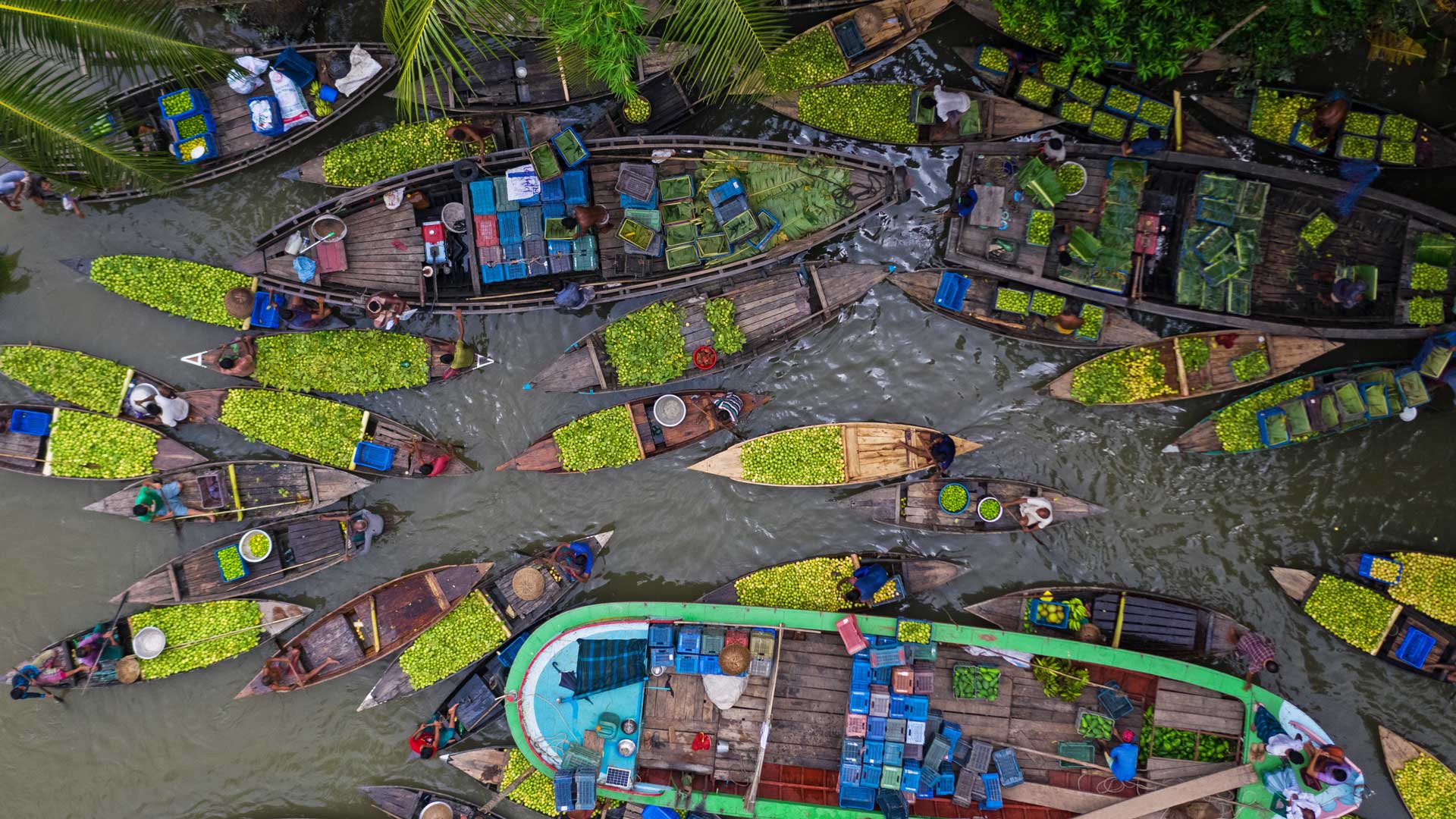 Introducing Portfolio Explorer