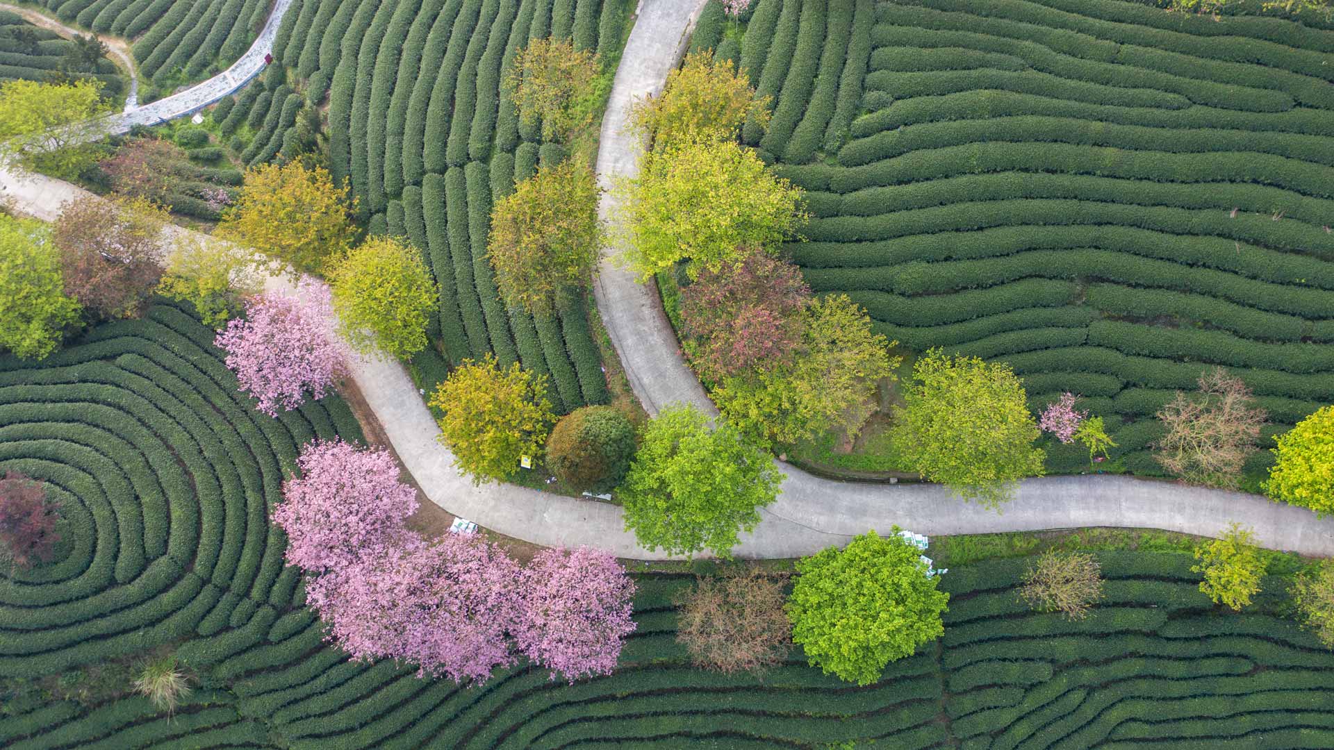 Investment capability review