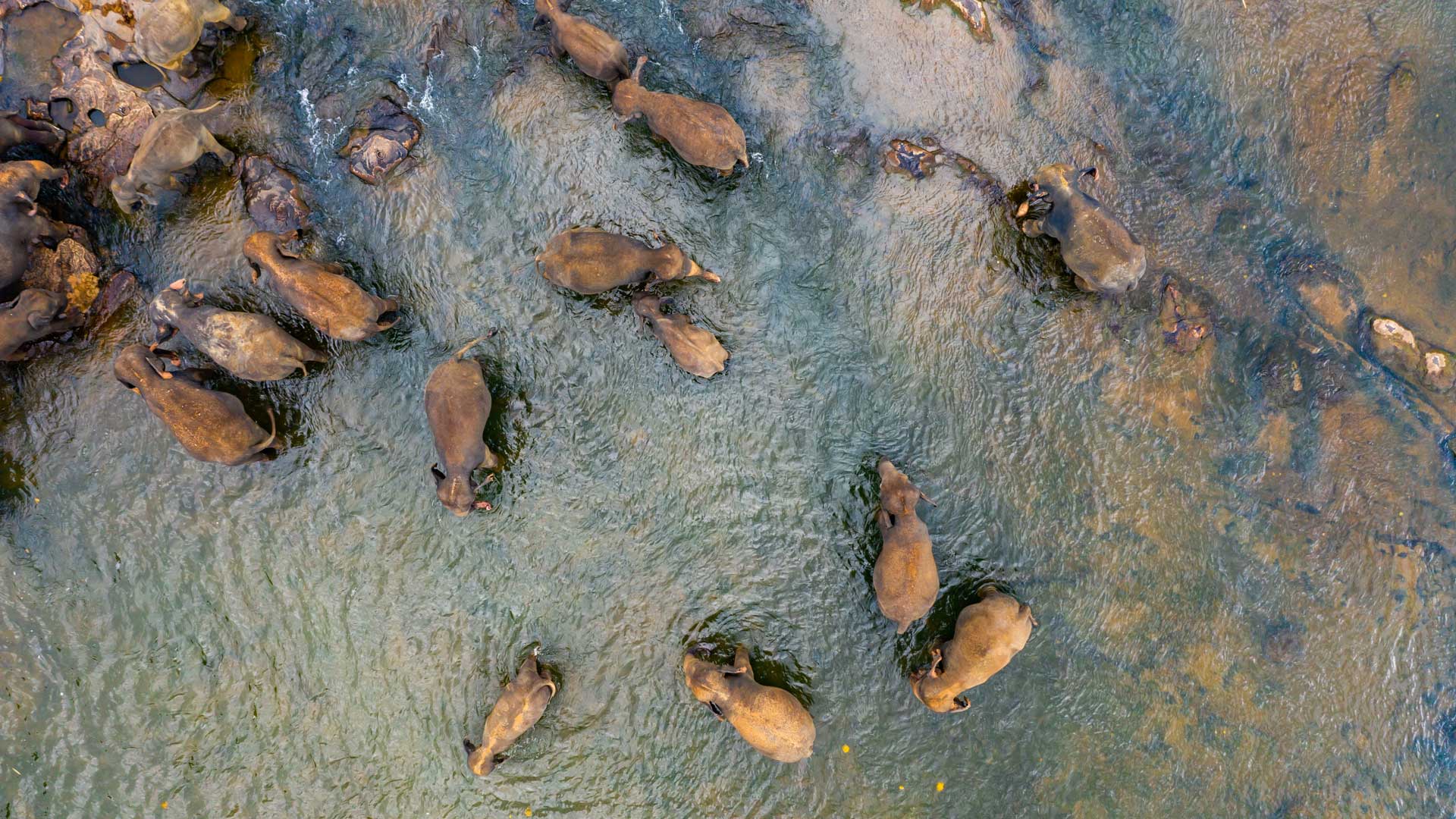 Our approach to sustainable investing