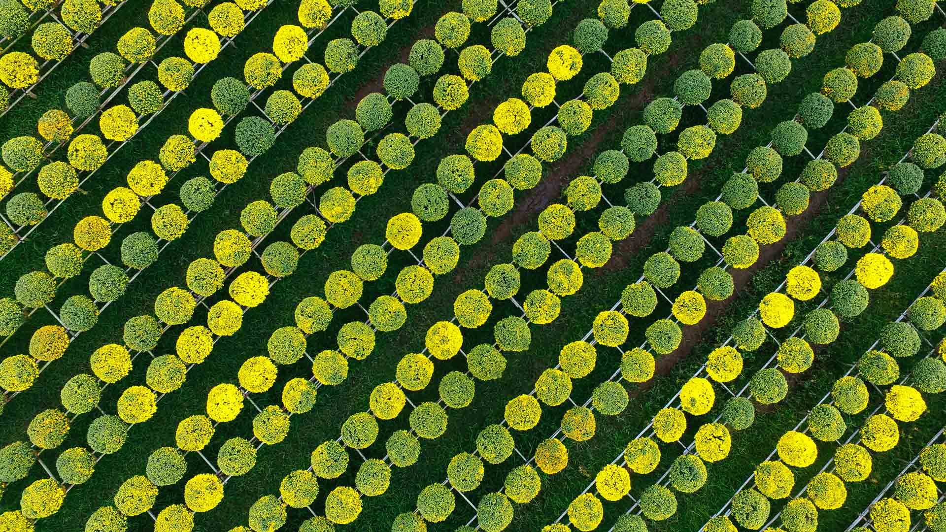 Regulation and reporting