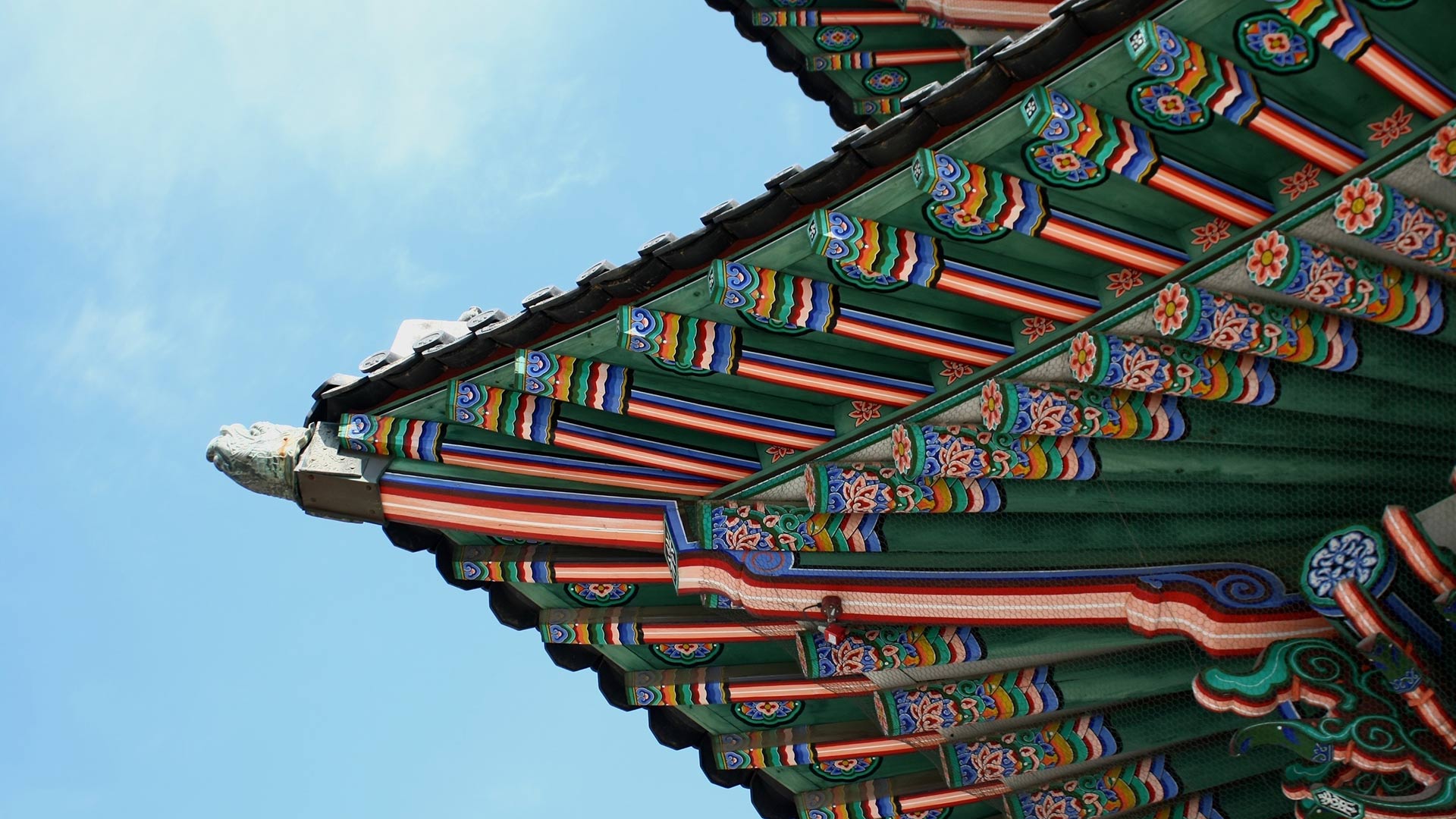 Annual General Meeting update 2023