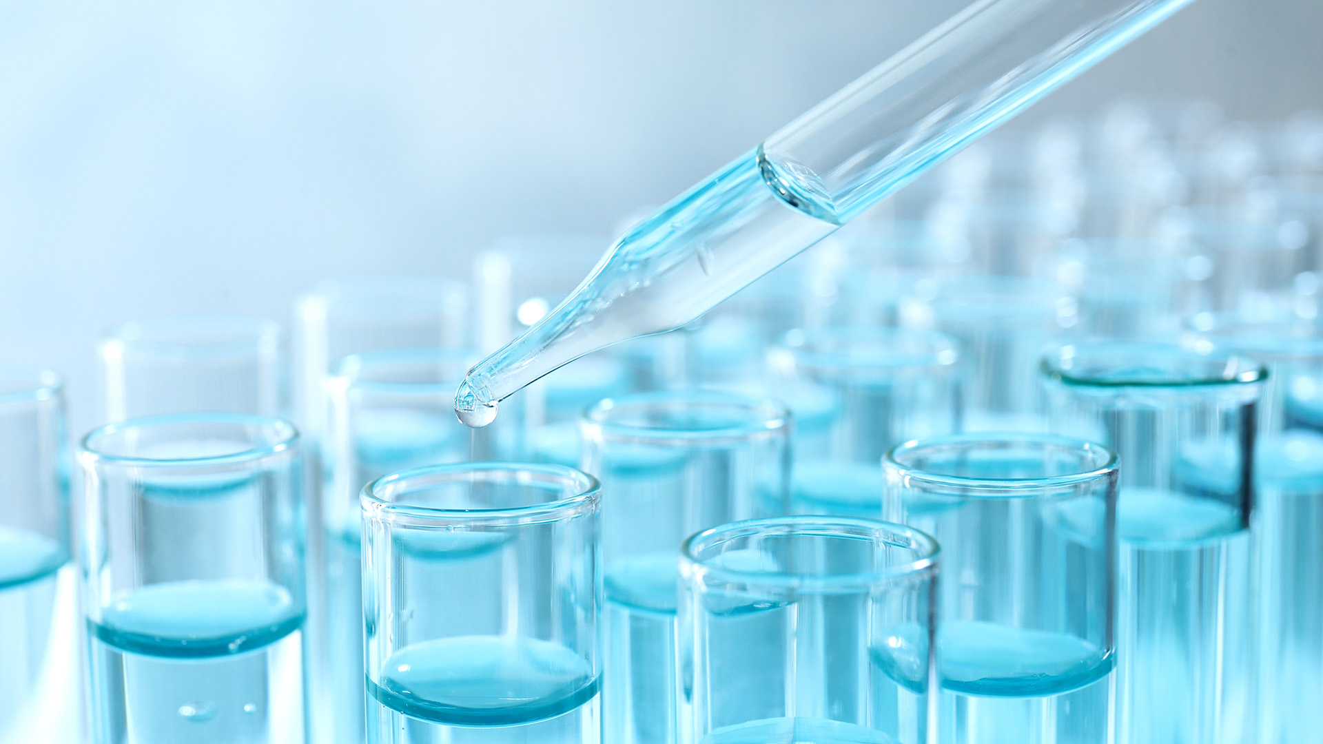 Questions & Answers session